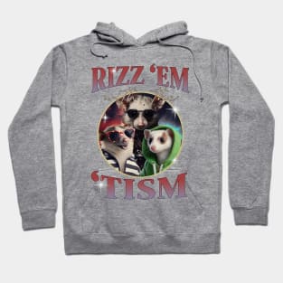 Rizz Em With The Tism Opossums Vintage Funny Possums Autism Awareness Hoodie